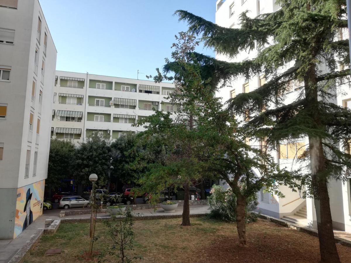 זאדאר Petra Apartment מראה חיצוני תמונה